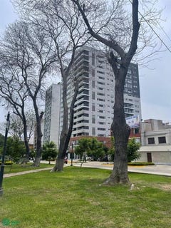 /international/pe/urb-parque-san-martin-parque-jose-de-san-martin-sn-pueblo-libre-lima-lima-lima-lima-district-310106542811/