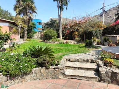/international/pe/av-alameda-del-corregidor-381-la-molina-lima-lima-lima-lima-district-310108812562/