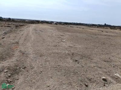/international/pe/urb-sector-lateral-2-lote-acumulado-sub-lote-4-chincha-alta-chincha-ica-chinchao-ica-310106078413/