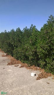 /international/pe/urb-hacienda-la-joya-mz-v-seccion-v-17-la-joya-arequipa-arequipa-arequipa-arequipa-310108161884/