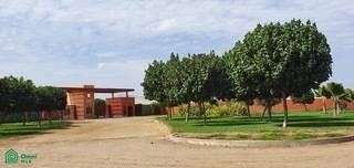 /international/pe/fundo-el-almendral-lote-1-sector-e-salas-guadalupe-panamericana-sur-km-263-s-n-salas-ica-ica-ica-ica-310108366585/