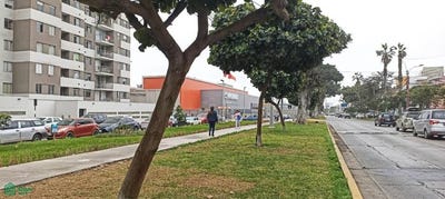 /international/pe/av-venezuela-5355-lima-lima-lima-lima-lima-district-310100827156/?lang=es