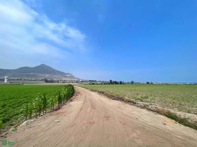 /international/pe/lote-2-y-lote-3-fundo-chancayllo-111-chancay-huaral-lima-huaral-lima-district-310106385643/