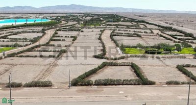 /international/pe/mz-l-25-la-joya-arequipa-arequipa-arequipa-arequipa-310108374411/