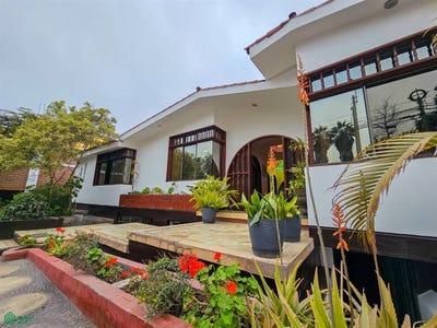 /international/pe/la-punta-214-la-molina-lima-lima-lima-lima-district-310099738864/?lang=zh-cn