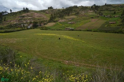 /international/pe/fundo-mariaca-fraccion-2-sn-cachimayo-anta-cusco-anta-cusco-310106194358/