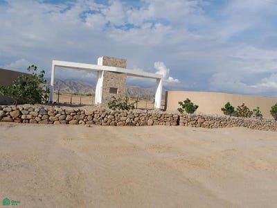 /international/pe/pampa-de-noco-fundo-denominado-holujapampa-s-n-grocio-prado-chincha-ica-chinchao-ica-310108624003/