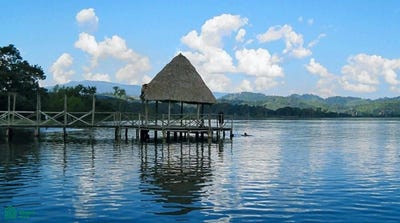/international/pe/ubic-rur-predio-rustico-mirador-s-n-juan-guerra-san-martin-san-martin-san-martin-san-martin-310101356817/?lang=it