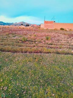 /international/pe/jr-arica-1864-yunguyo-yunguyo-puno-puno-310107813262/