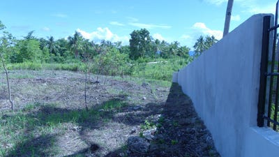 /international/ph/pg35-55-alcoy-central-visayas-310106626642/?lang=zh-tw