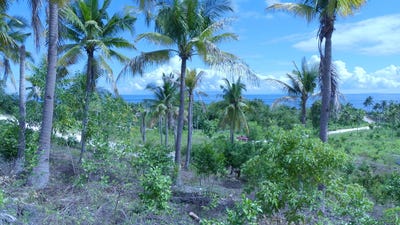 /international/ph/pg35-55-alcoy-central-visayas-310106626526/?lang=zh-tw