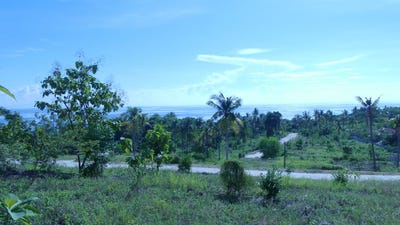 /international/ph/lower-poblacion-pg35-4vh-alcoy-6023-lalawigan-ng-cebu-philippines-alcoy-central-visayas-310106416161/?lang=zh-tw