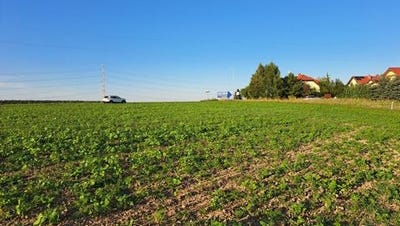 /international/pl/kornik-greater-poland-voivodeship-310108941862/
