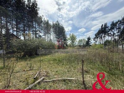 /international/pl/mazowieckie-wołominski-zagłoby-tłuszcz-masovian-voivodeship-310109147949/