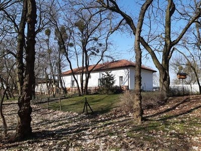 /international/pl/srem-greater-poland-voivodeship-310103002930/
