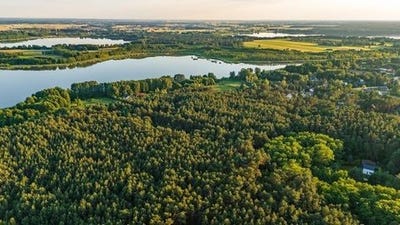 /international/pl/osłonin-greater-poland-voivodeship-310108601616/