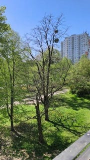 /international/pl/poznan-greater-poland-voivodeship-310108487692/