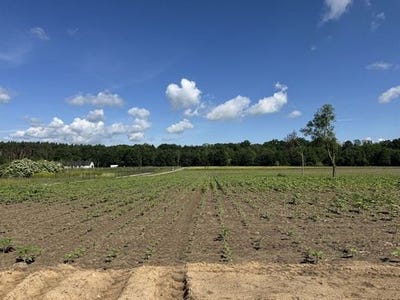 /international/pl/kazmierz-greater-poland-voivodeship-310106833552/