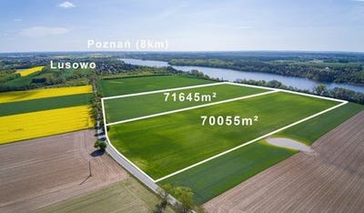 /international/pl/tarnowo-podgorne-greater-poland-voivodeship-310108648805/