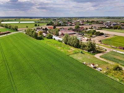 /international/pl/piechanin-greater-poland-voivodeship-310102989775/