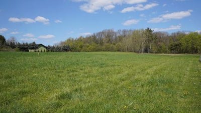 /international/pl/buk-greater-poland-voivodeship-310108216342/