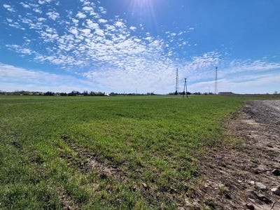 /international/pl/wagrowiec-greater-poland-voivodeship-310107648523/