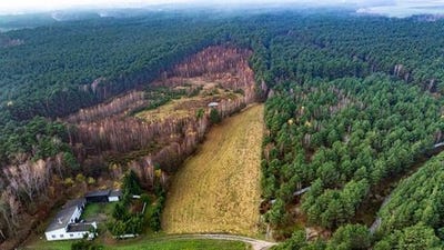 /international/pl/poznan-greater-poland-voivodeship-310109079452/