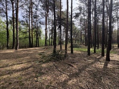 /international/pl/poznan-greater-poland-voivodeship-310109079355/