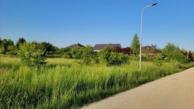/international/pl/tarnowo-podgorne-greater-poland-voivodeship-310108779320/