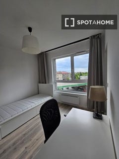 /international/pl/krakow-lesser-poland-voivodeship-310108562881/