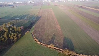 /international/pl/borek-wielkopolski-greater-poland-voivodeship-310107374338/