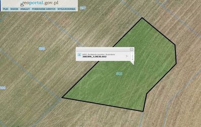 /international/pl/gniezno-greater-poland-voivodeship-310102991331/