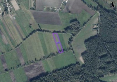 /international/pl/steszew-greater-poland-voivodeship-310107814011/