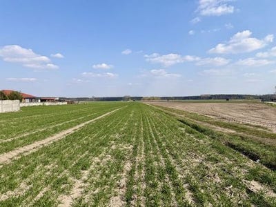 /international/pl/szymanowo-warmian-masurian-voivodeship-310107331981/