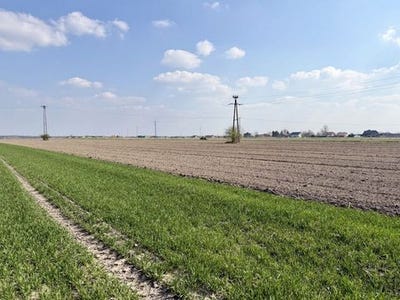 /international/pl/rawicz-greater-poland-voivodeship-310107331765/