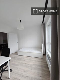 /international/pl/krakow-lesser-poland-voivodeship-310108555899/