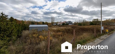 /international/pl/mazowieckie-nowodworski-kolorowa-czosnow-masovian-voivodeship-310108401878/