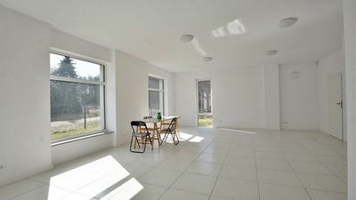 /international/pl/mosina-greater-poland-voivodeship-310106972766/