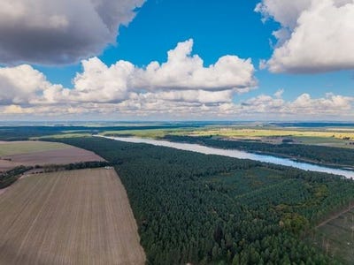 /international/pl/wagrowiec-greater-poland-voivodeship-310103016698/