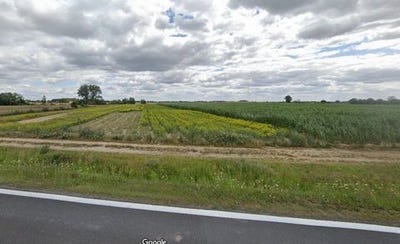 /international/pl/buk-greater-poland-voivodeship-310102989658/