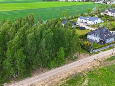 /international/pl/tarnowo-podgorne-greater-poland-voivodeship-310106833783/