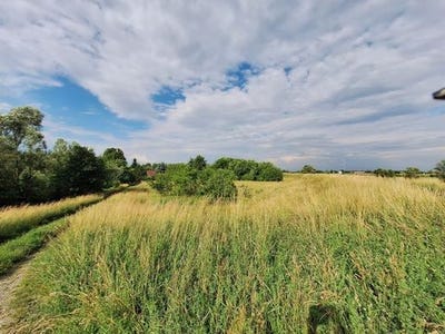/international/pl/krakow-kuyavian-pomeranian-voivodeship-310104808818/