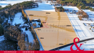 /international/pl/kujawsko-pomorskie-tucholski-sliwice-kuyavian-pomeranian-voivodeship-310105746697/