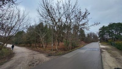 /international/pl/warsaw-masovian-voivodeship-120098503883/