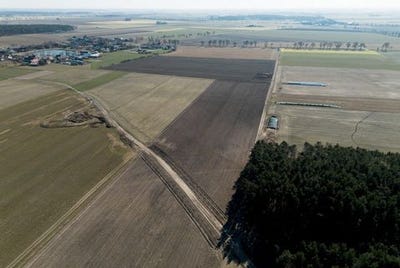 /international/pl/poznan-greater-poland-voivodeship-310106237578/