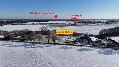 /international/pl/rokietnica-greater-poland-voivodeship-310105747879/