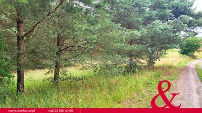 /international/pl/warminsko-mazurskie-ostrodzki-ostroda-warmian-masurian-voivodeship-310106626376/