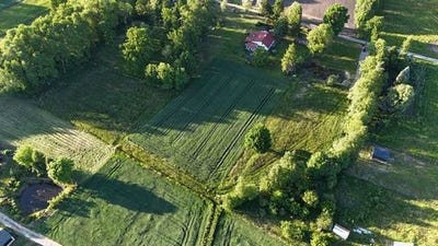 /international/pl/czarnkow-greater-poland-voivodeship-310106832458/
