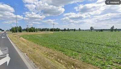 /international/pl/buk-greater-poland-voivodeship-310102989579/
