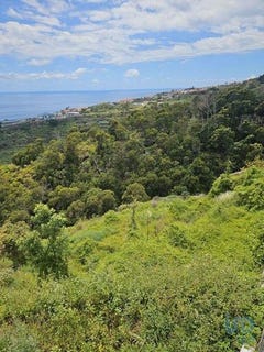 /international/pt/santa-cruz-setubal-municipality-310099627631/